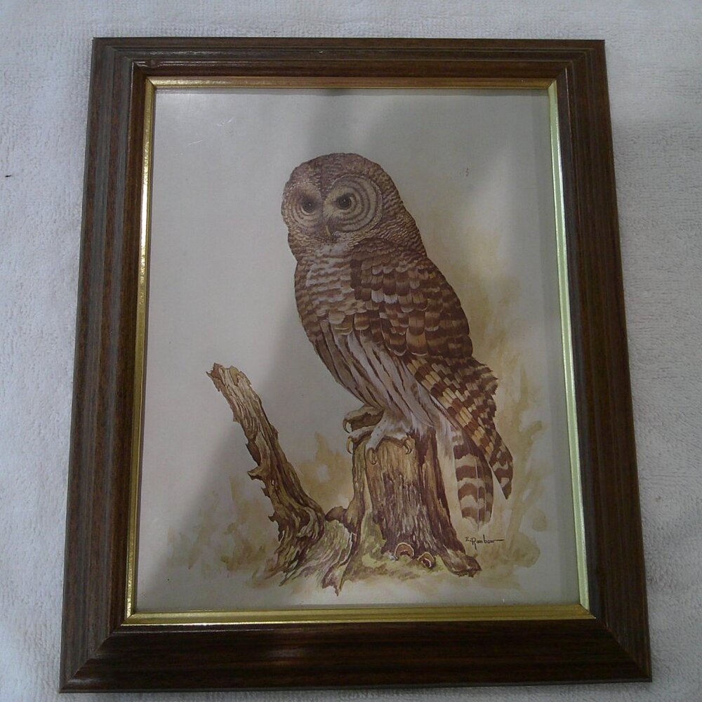 Framed Owl Art 11 X 13